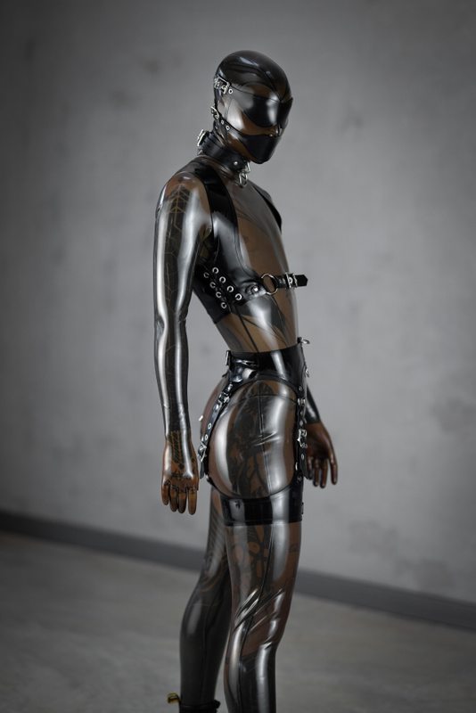 A sexy photograph of Cam Damage in transparent latex. Tagged with: tattoos. Posted June 2019.