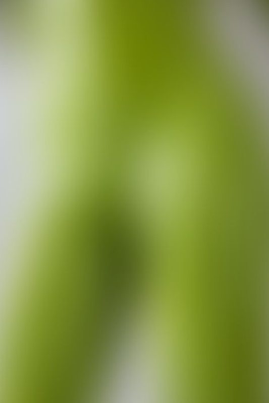 A sexy photograph of AphrobiteyPosted April 2022.