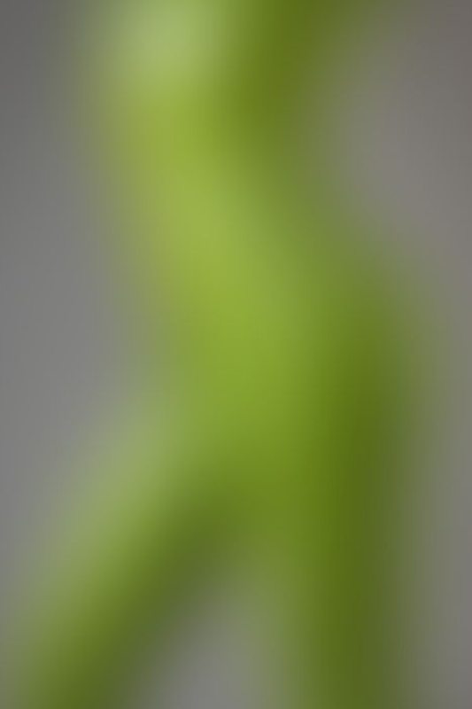 A sexy photograph of AphrobiteyPosted April 2022.