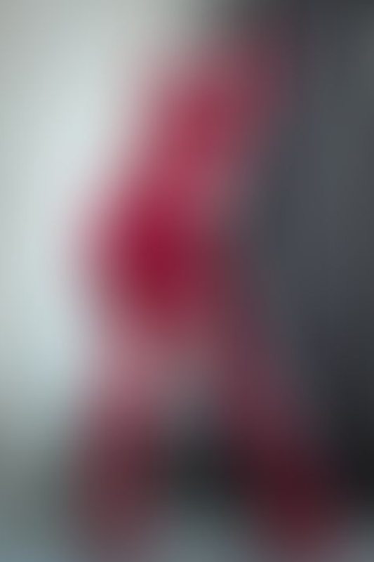 A sexy photograph of Vespa in red latex. Posted November 2019.
