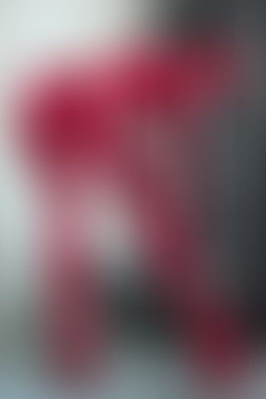A sexy photograph of Vespa in red latex. Posted November 2019.