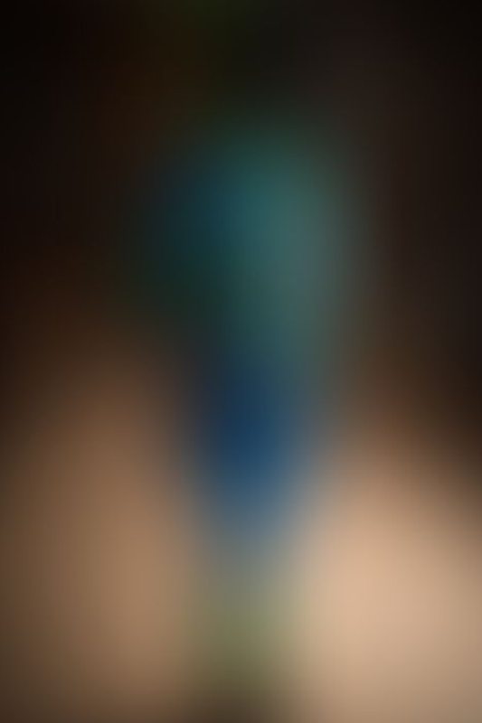 A sexy photograph of Vespa in blue &amp; transparent latex. Tagged with: rope / shibari. Posted January 2018.