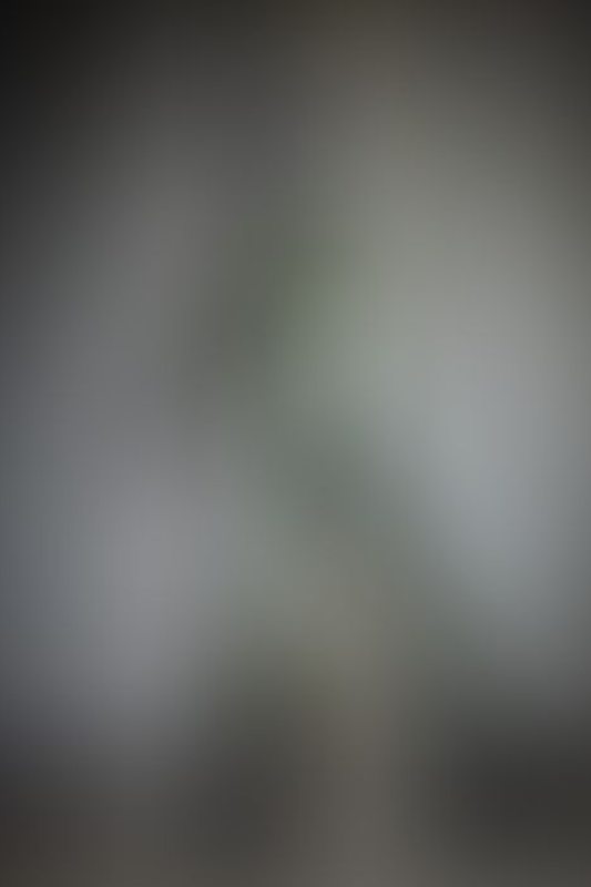 A sexy photograph of Charlee in transparent latex. Posted September 2021.