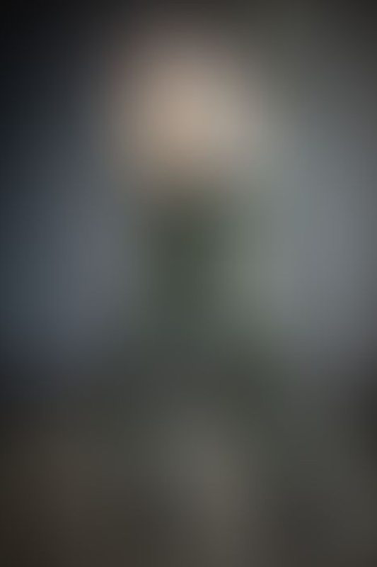 A sexy photograph of Charlee in transparent latex. Posted September 2021.