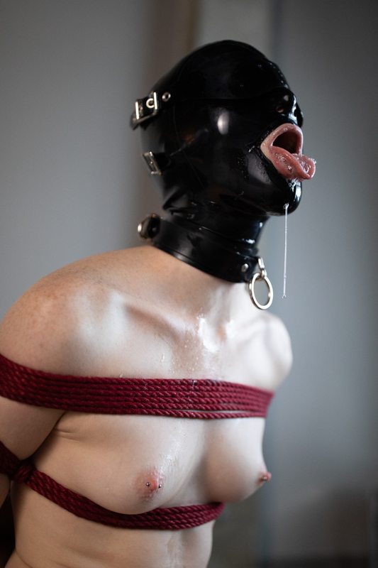 A photo album of Mbot showing bare skin with transparent latex. Tagged with: gagged, armbinder & rope. Posted January 2020.