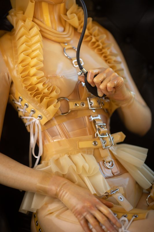 A sexy photograph of Mbot in transparent latex. Posted December 2020.