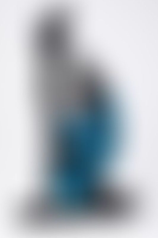 A sexy photograph of transparent &amp; blue latex. Tagged with: rubber kitten. Posted January 2018.